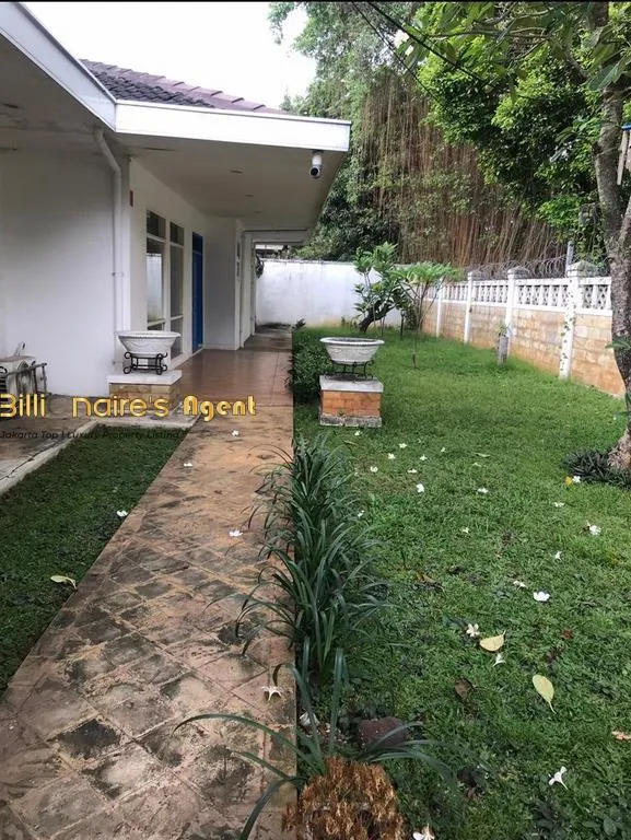 Billionaire's Agent - Photo 2019 04 30 10 02 35 7 Copy