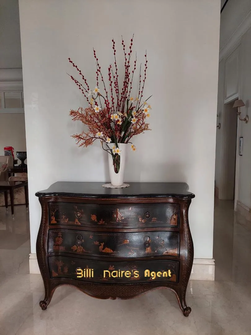 Billionaire's Agent - Photo 2024 03 18 14 03 211 Copy