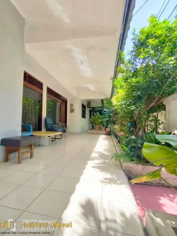 Billionaire's Agent - Photo 2024 10 06 16 00 32 1 Copy