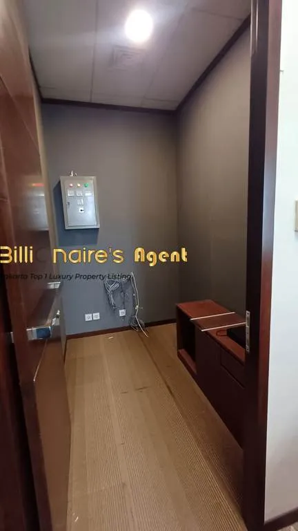 Billionaire's Agent - Photo 2025 12 17 15 15 52 4 Copy