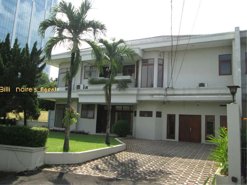 Billionaire's Agent - Img9 Copy