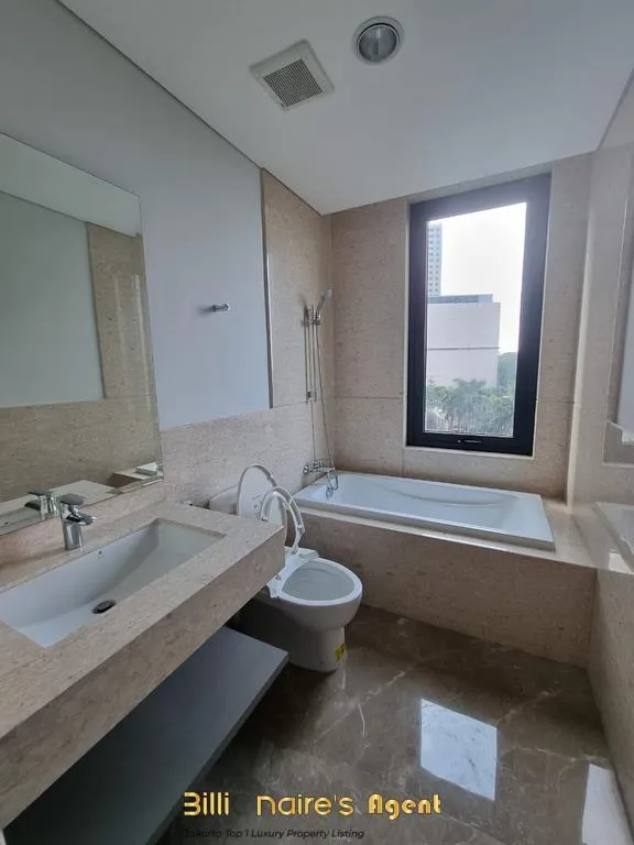 Billionaire's Agent - Photo 2025 01 03 11 08 00 7 Copy