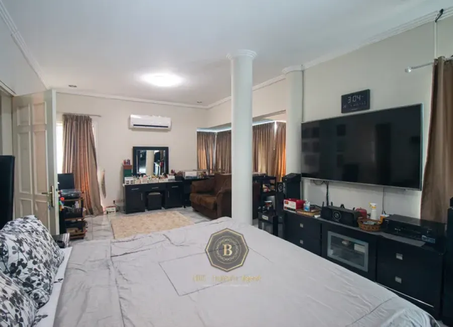 Billionaire's Agent - Img 9709