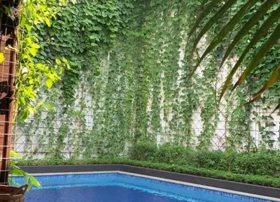 Billionaire's Agent - Disewa Rumah 2 lantai Private Pool di Jl.Lembang Menteng Jakarta Pusat
