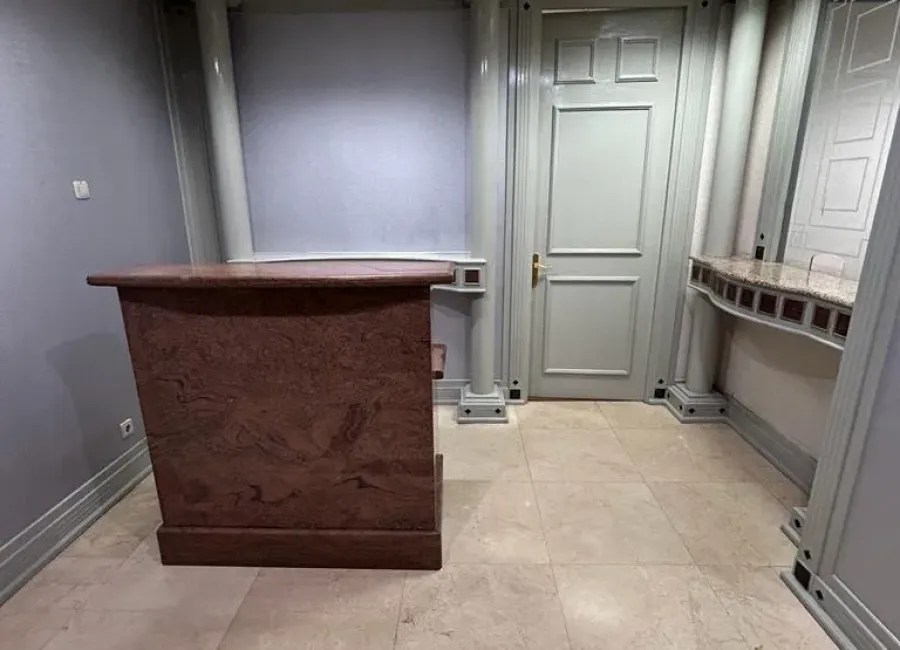 Billionaire's Agent - Photo 2023 12 17 19 26 44