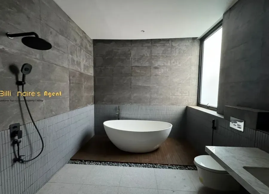 Billionaire's Agent - Photo 2024 02 10 17 33 50 2 Copy