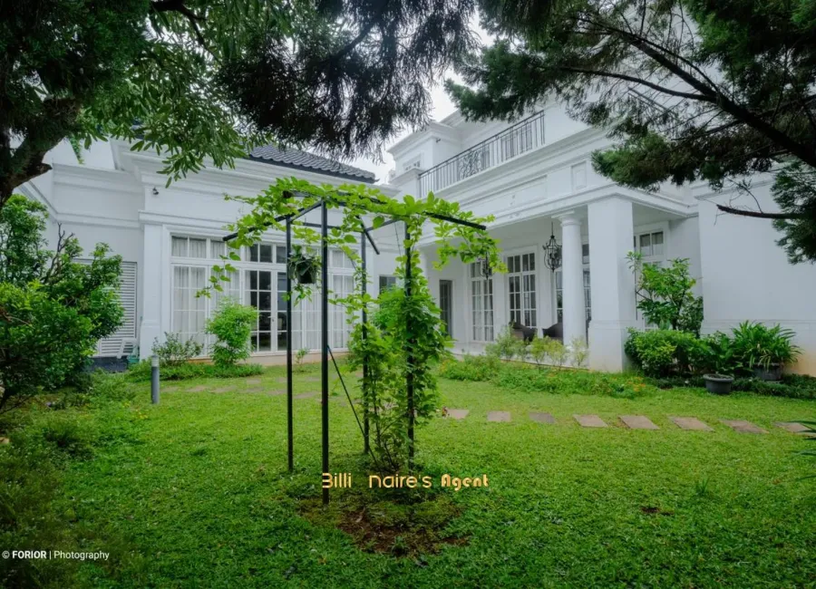 Billionaire's Agent - Photo 2024 03 31 08 40 099 Copy