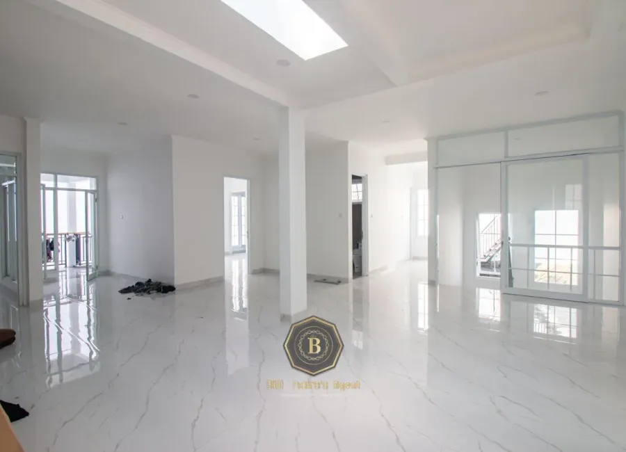 Billionaire's Agent - Photo 2024 08 07 16 10 08 5