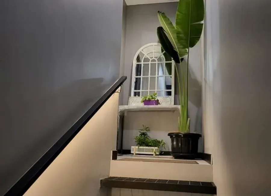 Billionaire's Agent - Photo 2024 12 13 18 08 34 3 Copy