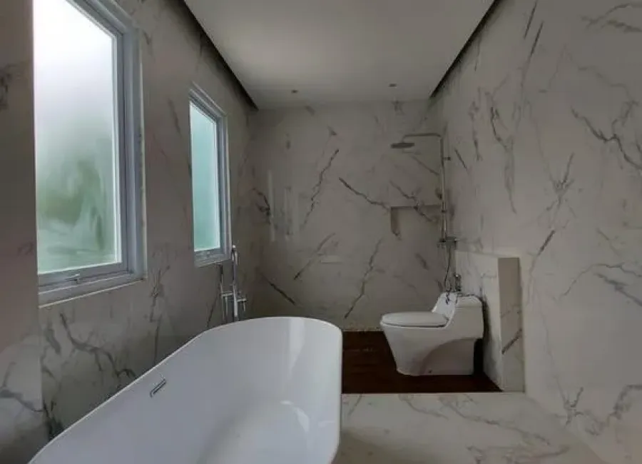 Billionaire's Agent - Photo 2024 12 14 07 50 45 5 Copy