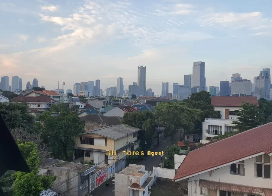 Billionaire's Agent - Photo 2025 02 07 18 01 11 Copy