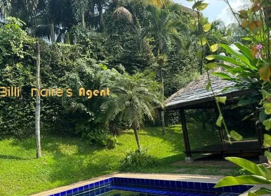 Billionaire's Agent - Photo 2025 11 26 11 35 06 Copy