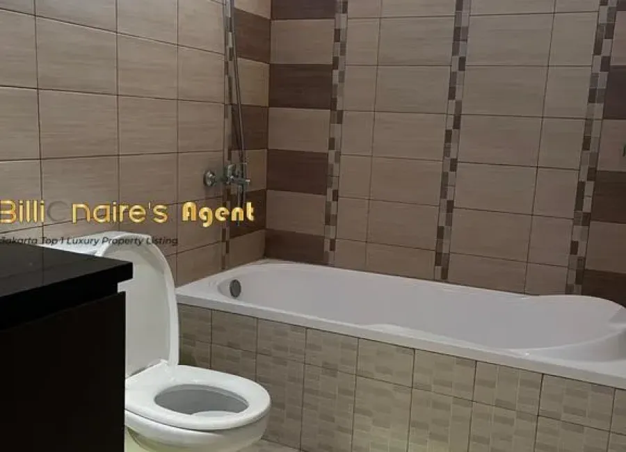 Billionaire's Agent - Photo 2025 11 26 11 35 09 Copy