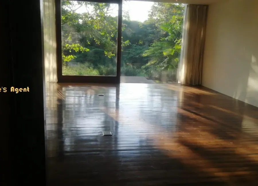 Billionaire's Agent - Photo 2025 12 11 10 12 24 1 Copy