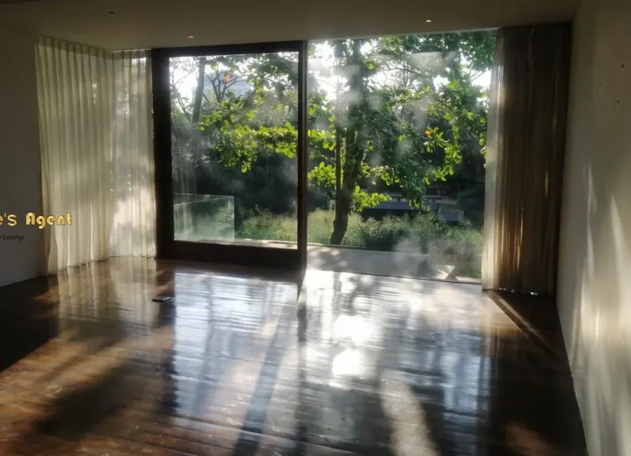 Billionaire's Agent - Photo 2025 12 11 10 12 25 Copy