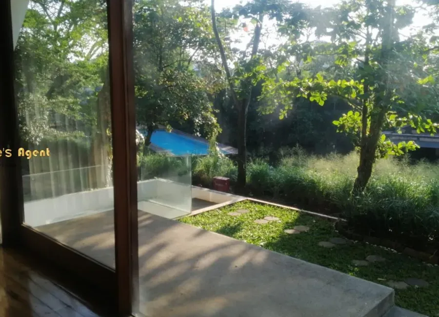 Billionaire's Agent - Photo 2025 12 11 10 12 25 1 Copy 1