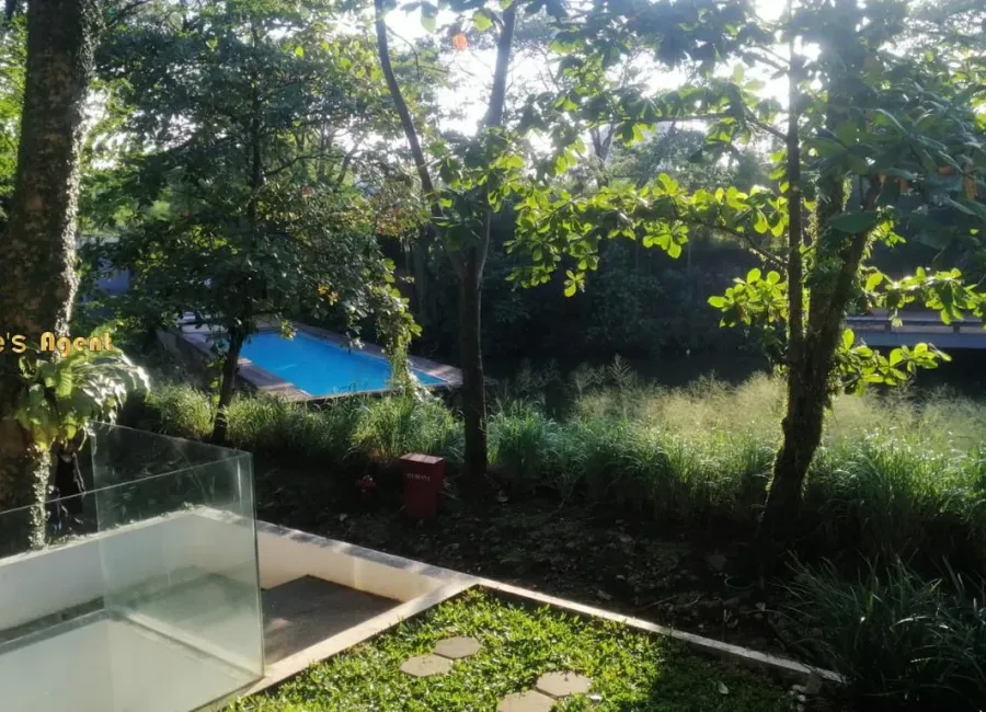 Billionaire's Agent - Photo 2025 12 11 10 12 25 2 Copy 1