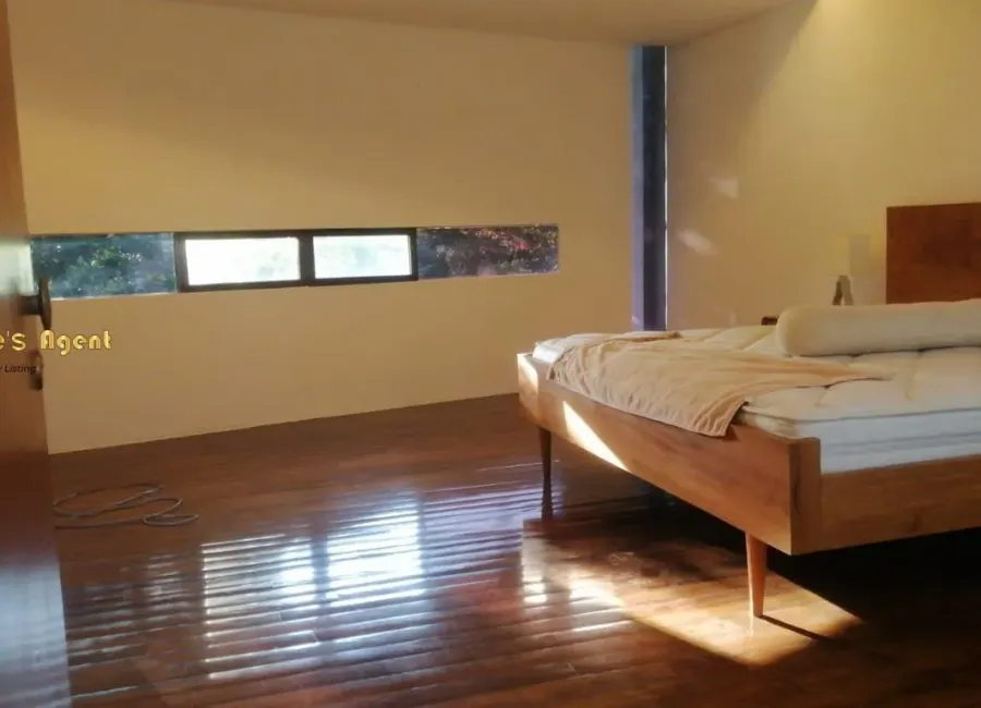 Billionaire's Agent - Photo 2025 12 11 10 12 27 2 Copy