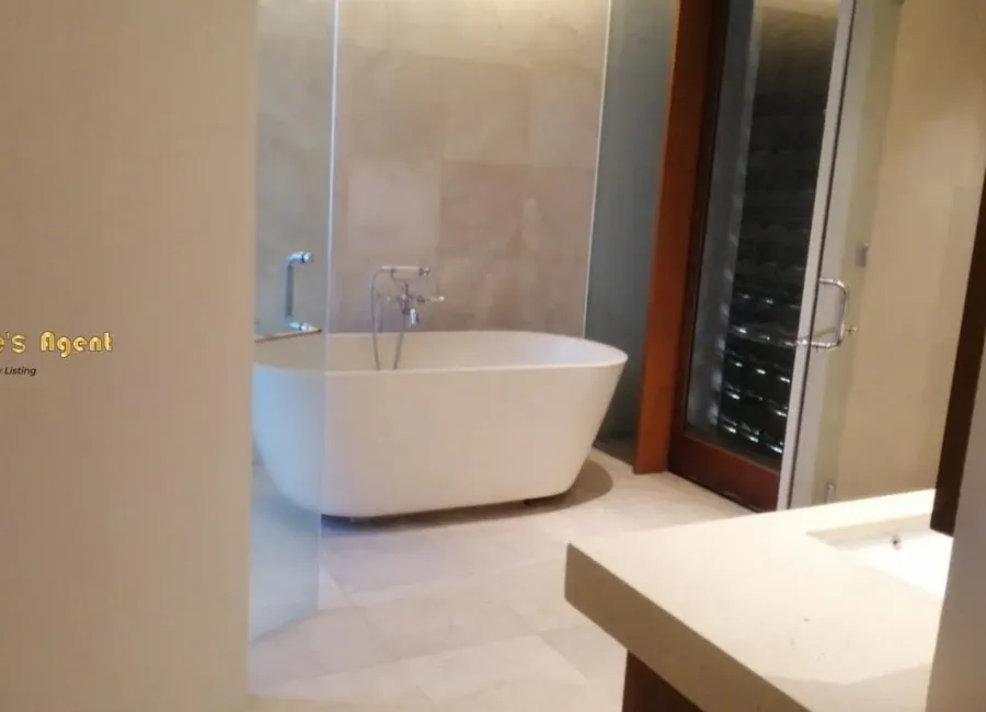 Billionaire's Agent - Photo 2025 12 11 10 12 29 Copy