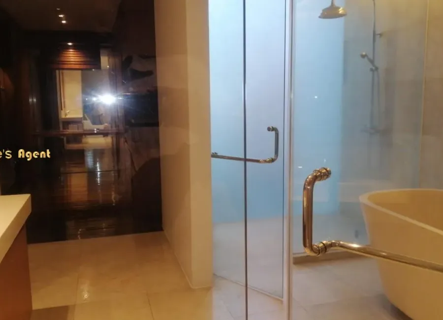 Billionaire's Agent - Photo 2025 12 11 10 12 29 1 Copy