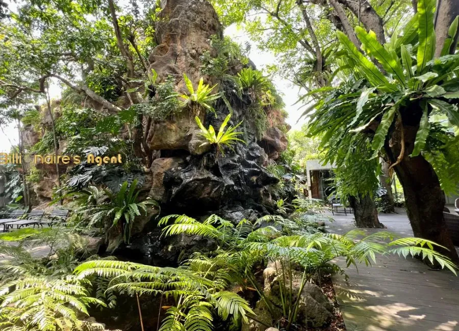 Billionaire's Agent - Photo 2025 12 11 18 42 34 1 Copy