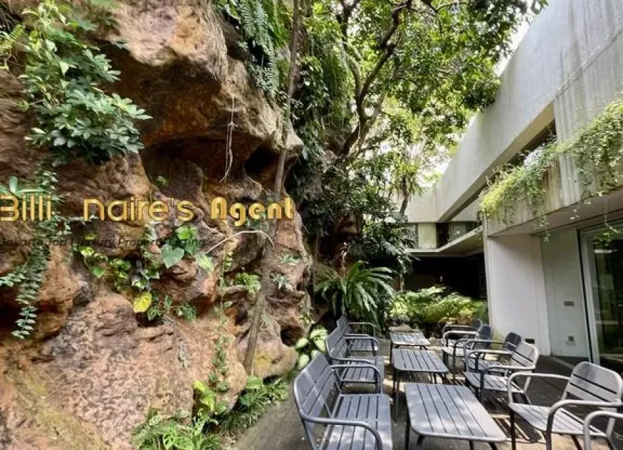 Billionaire's Agent - Photo 2025 12 11 18 42 35 2 Copy