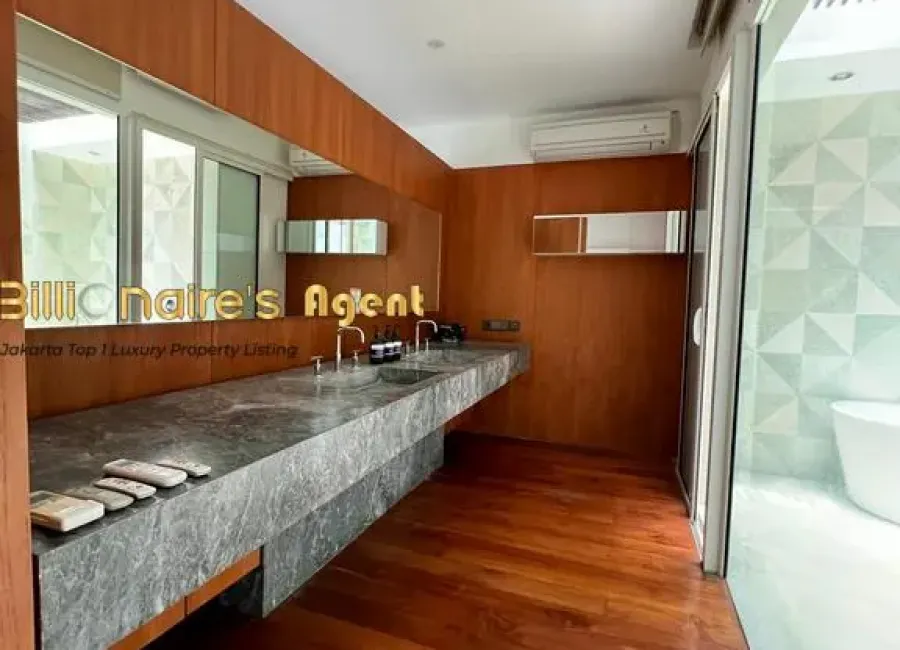 Billionaire's Agent - Photo 2025 12 11 18 42 37 2 Copy