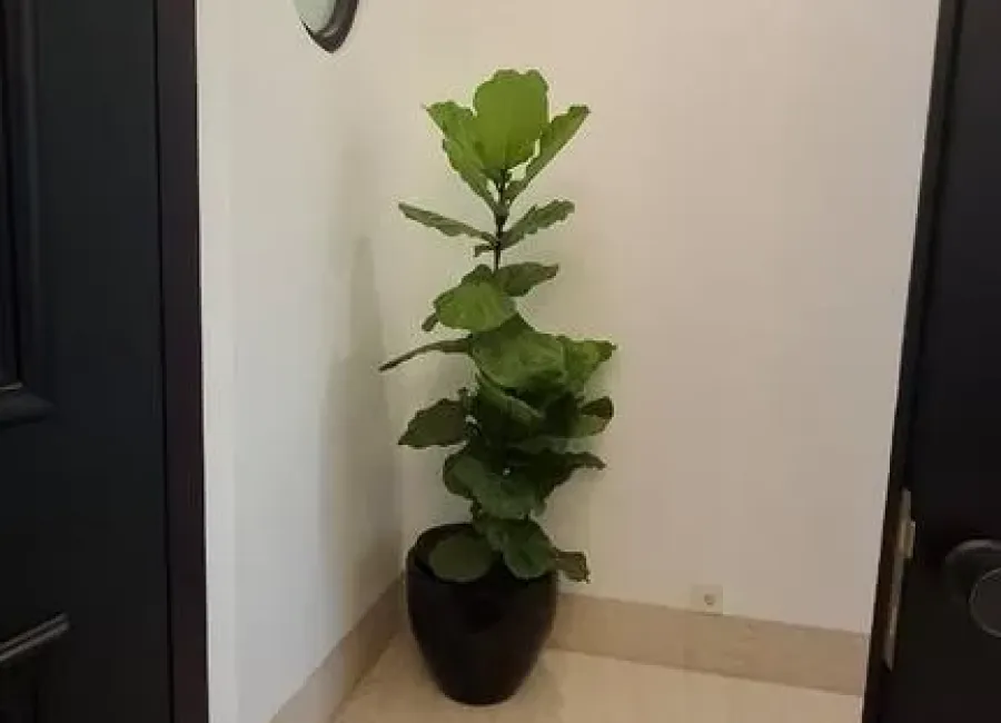 Billionaire's Agent - Dijual Rumah Baru 3 Lantai di Amari Residence Kebayoran Baru, Jakarta