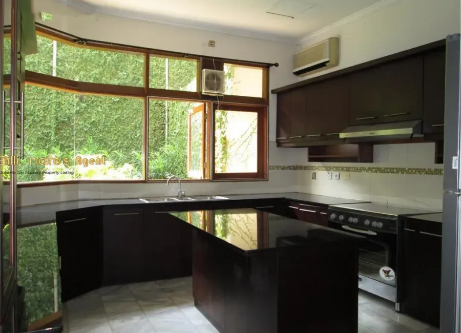 Billionaire's Agent - Img262 Copy