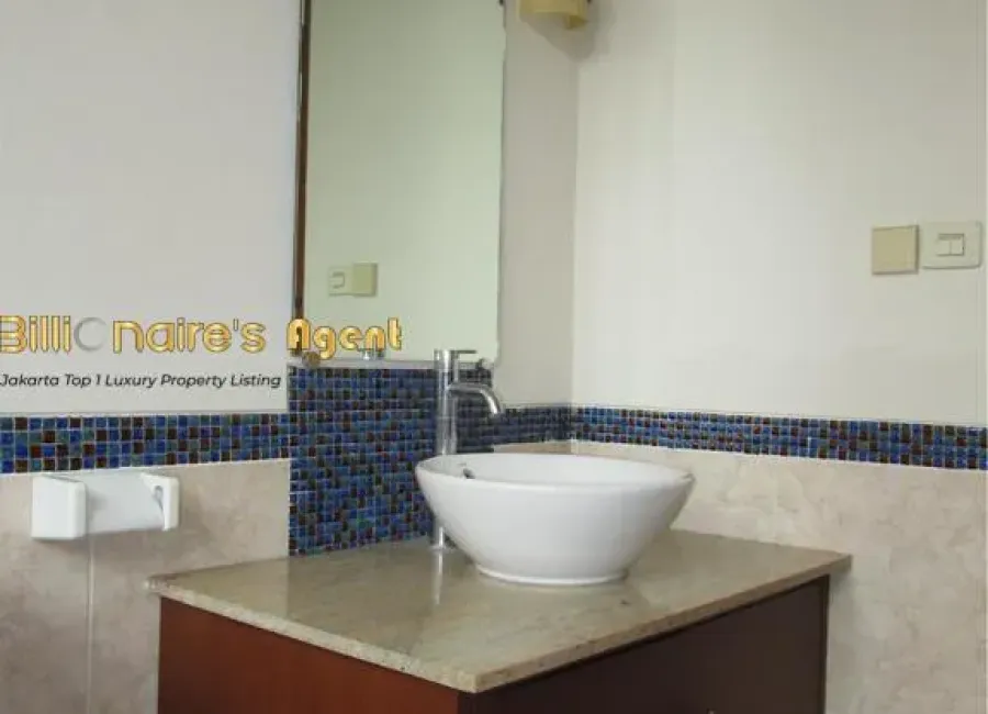 Billionaire's Agent - Img275 Copy