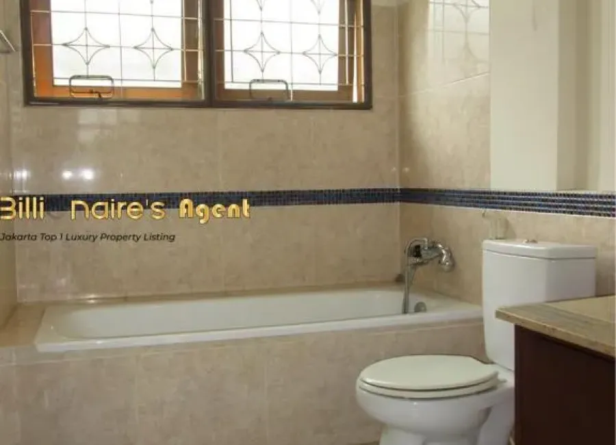 Billionaire's Agent - Img277 Copy